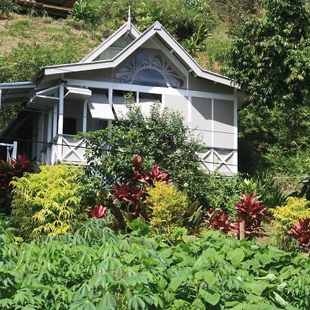 סאבוסאבו Gingerbread Cottage And Studio Fiji מראה חיצוני תמונה