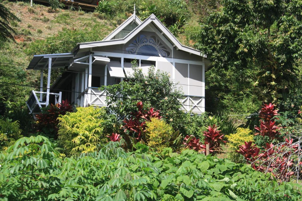 סאבוסאבו Gingerbread Cottage And Studio Fiji מראה חיצוני תמונה